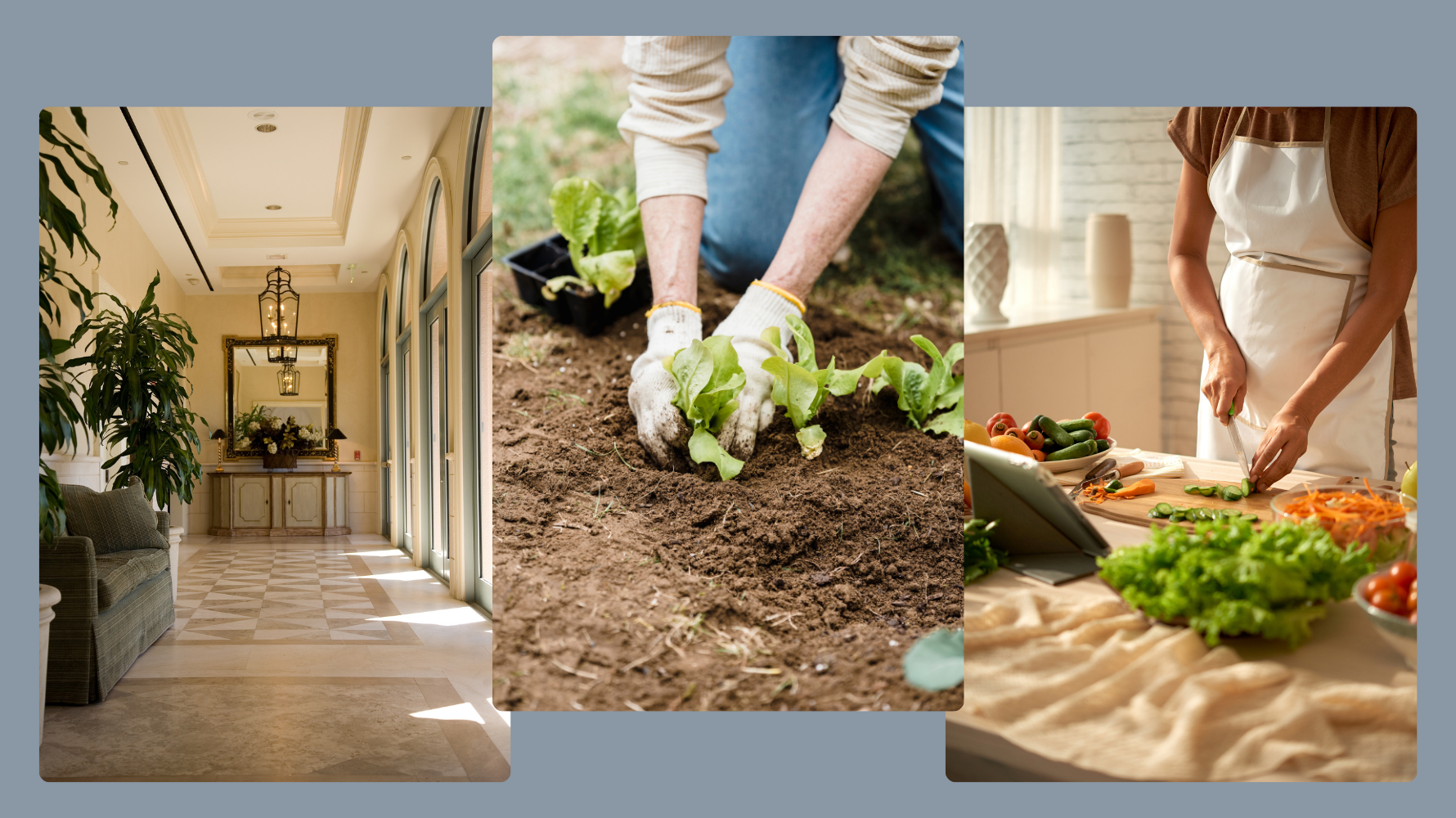 Create a Home You Love: Inspiration for Decluttering, Decorating, Gardening, & Cooking