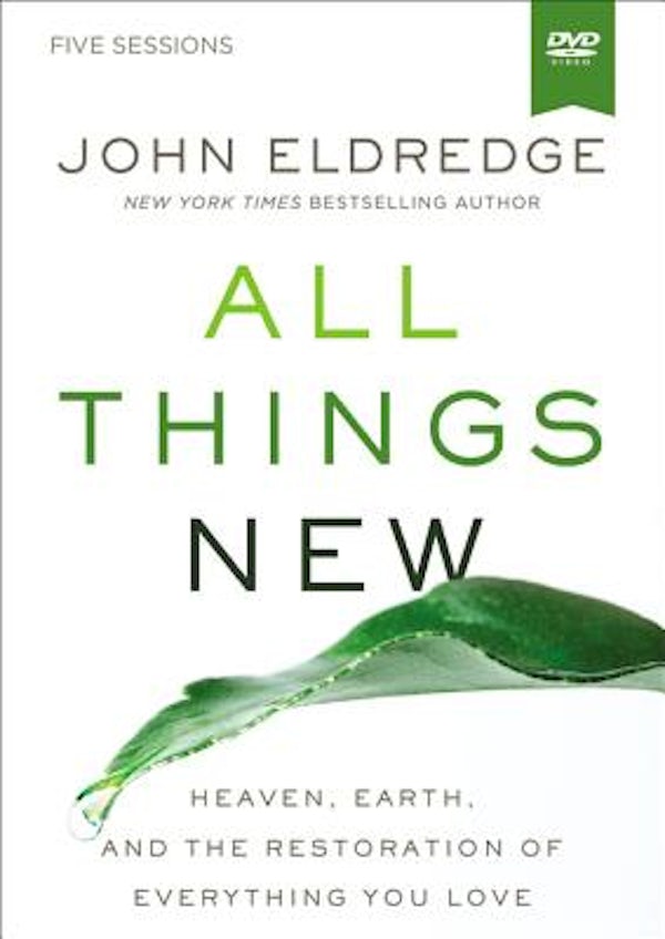 Cover image for All Things New Video Study, isbn: 9780310087656