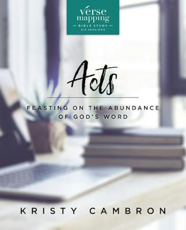 Cover image for Verse Mapping Acts Video Study, isbn: 9780310090038