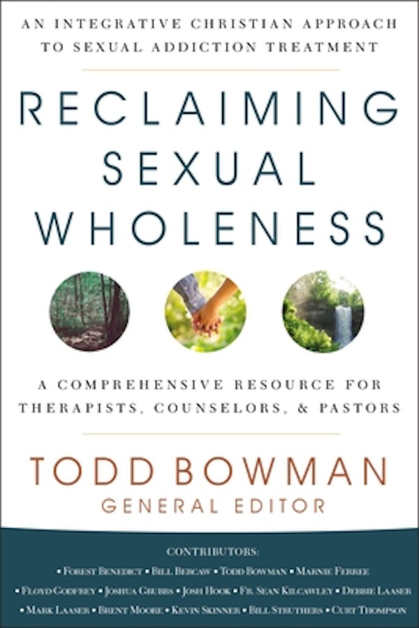 Cover image for Reclaiming Sexual Wholeness, isbn: 9780310093107