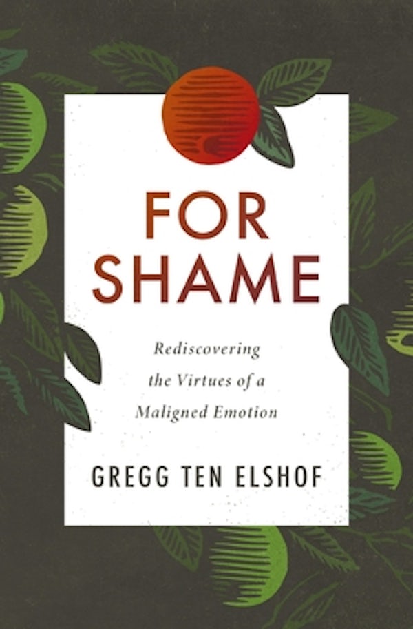 Cover image for For Shame, isbn: 9780310108665