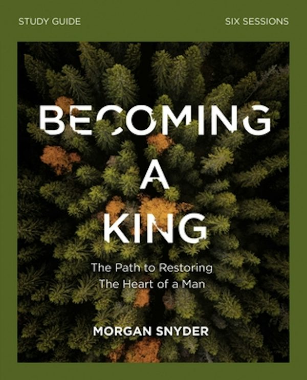 Cover image for Becoming a King Study Guide, isbn: 9780310115243