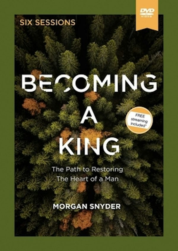 Cover image for Becoming a King Video Study, isbn: 9780310115267