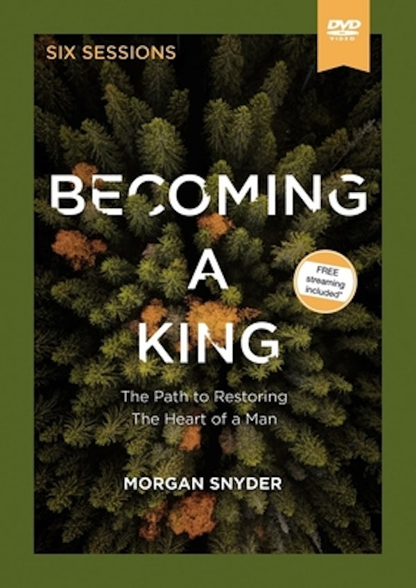 Cover image for Becoming a King Video Study, isbn: 9780310115267