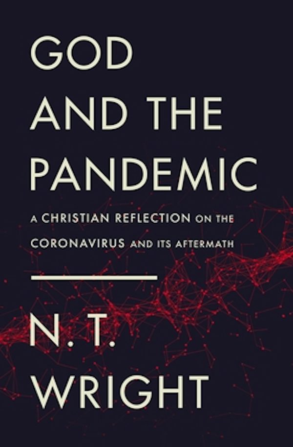 Cover image for God and the Pandemic, isbn: 9780310120803