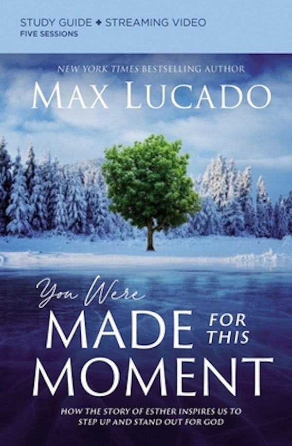 Cover image for You Were Made for This Moment Bible Study Guide Plus Streaming Video, isbn: 9780310136255