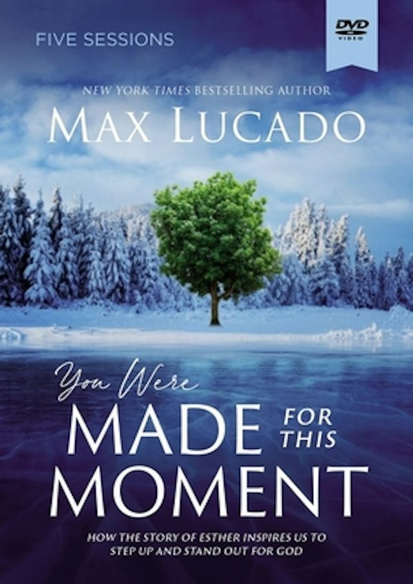 Cover image for You Were Made for This Moment Video Study, isbn: 9780310136279