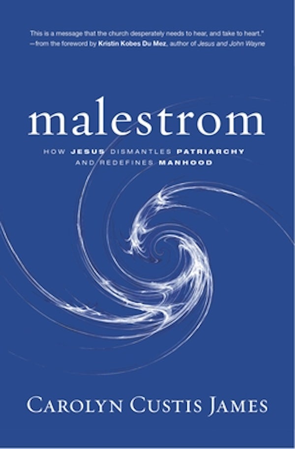 Cover image for Malestrom, isbn: 9780310138891
