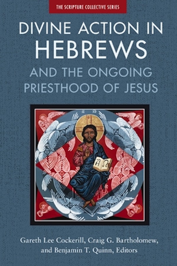 Cover image for Divine Action in Hebrews, isbn: 9780310139102