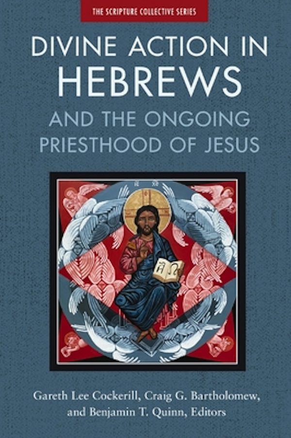 Cover image for Divine Action in Hebrews, isbn: 9780310139102