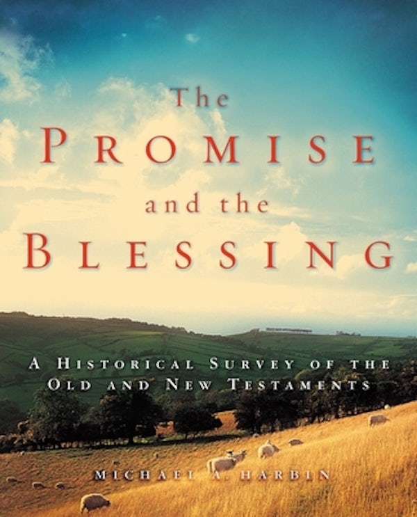 Cover image for The Promise and the Blessing, isbn: 9780310144489