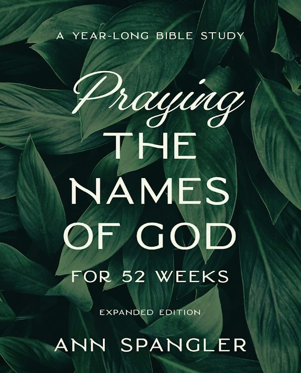 Cover image for Praying the Names of God for 52 Weeks, Expanded Edition, isbn: 9780310145158