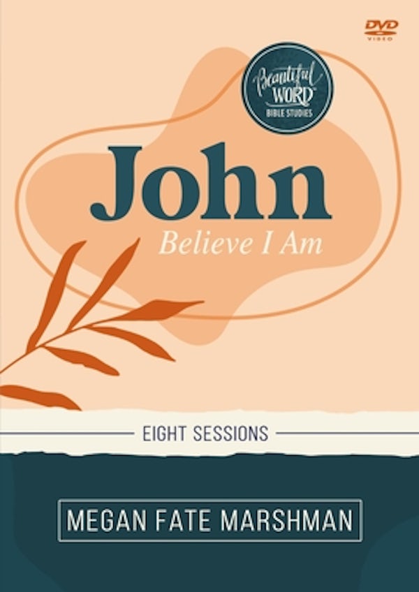 Cover image for John Video Study, isbn: 9780310152675