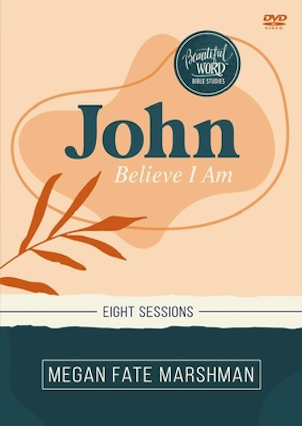Cover image for John Video Study, isbn: 9780310152675
