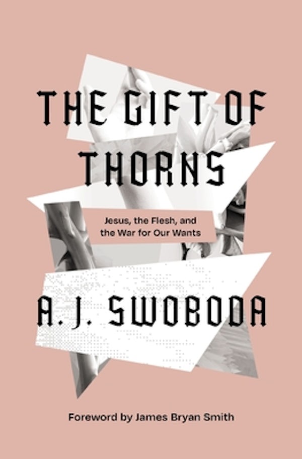 Cover image for The Gift of Thorns, isbn: 9780310153283