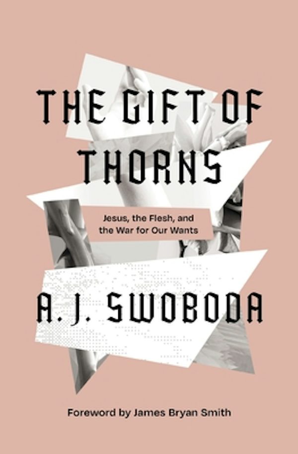 Cover image for The Gift of Thorns, isbn: 9780310153283