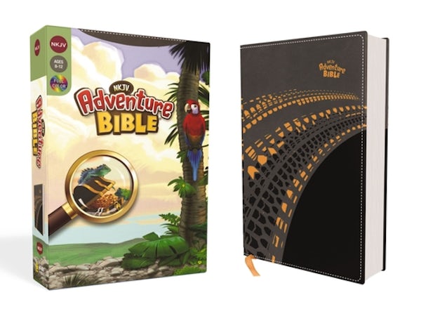Cover image for Nkjv, Adventure Bible, Leathersoft, Gray, Full Color, isbn: 9780310154303
