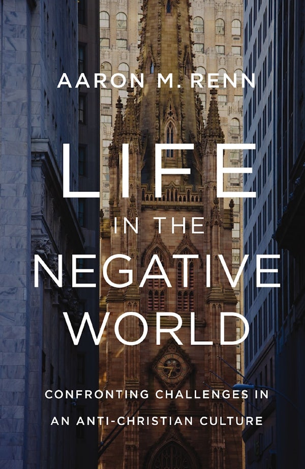 Cover image for Life in the Negative World, isbn: 9780310155157
