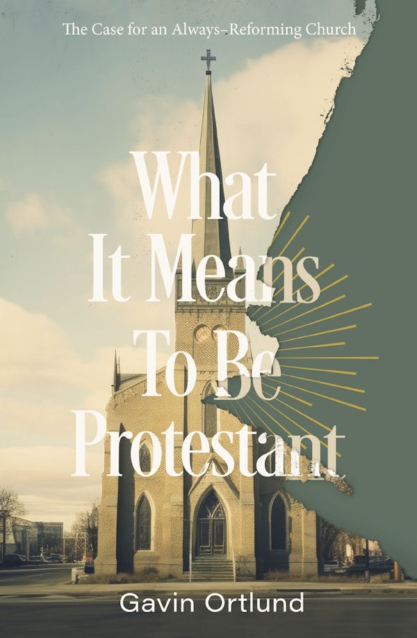 Cover image for What It Means to Be Protestant, isbn: 9780310156321