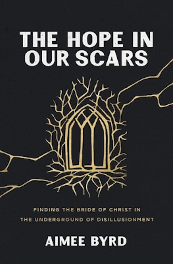 Cover image for The Hope in Our Scars, isbn: 9780310157144