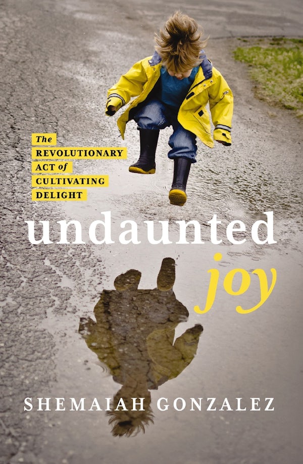 Cover image for Undaunted Joy, isbn: 9780310163176