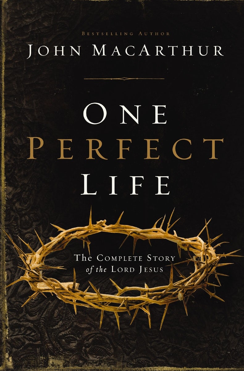 Cover image for One Perfect Life, isbn: 9780310165750