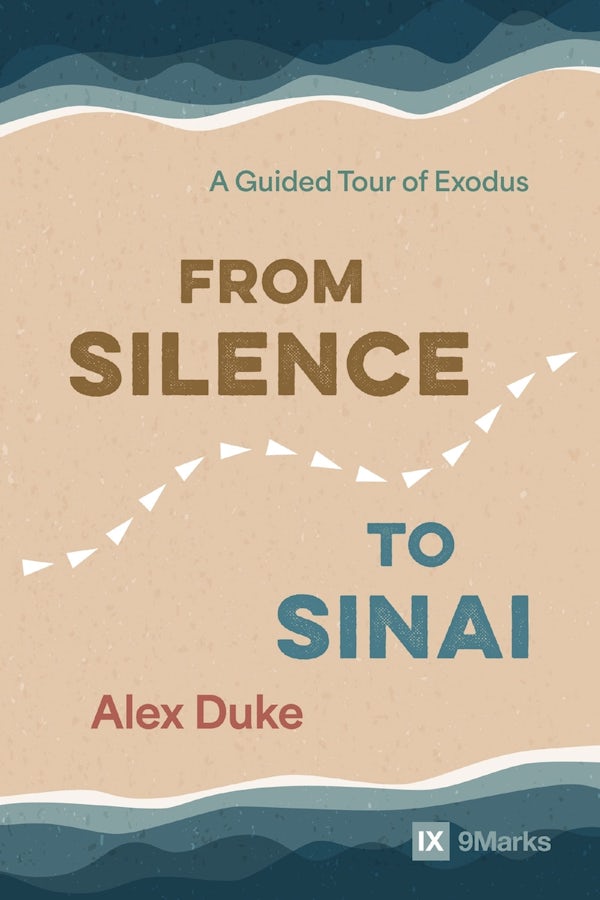 Cover image for From Silence to Sinai, isbn: 9780310175087