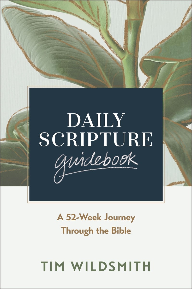 Cover image for Daily Scripture Guidebook, isbn: 9780310175155