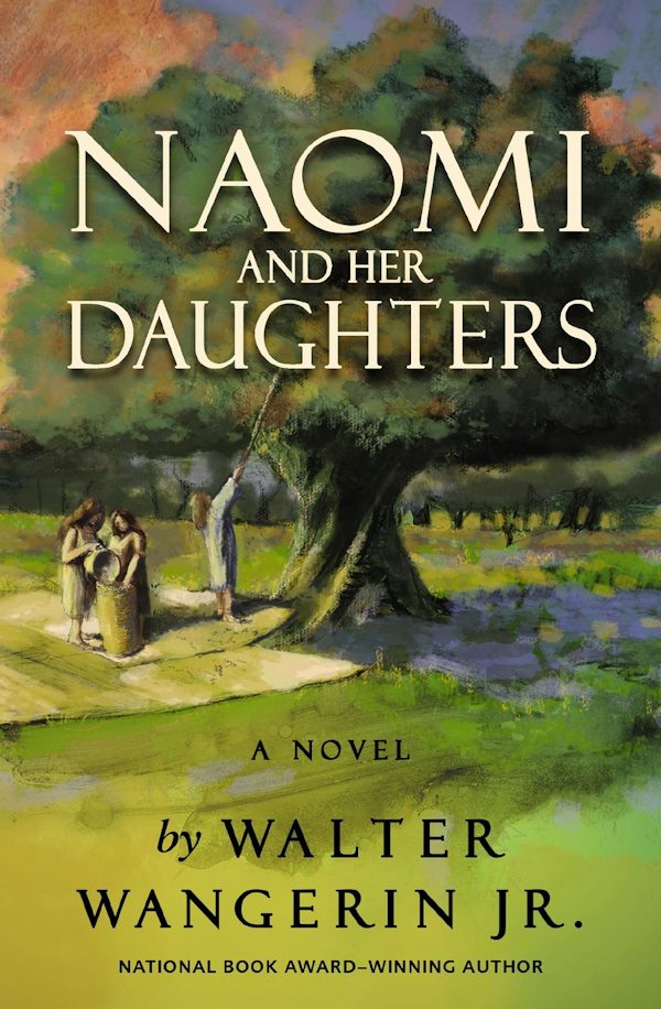 Cover image for Naomi and Her Daughters, isbn: 9780310176794