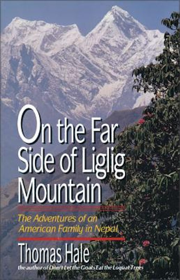 Cover image for On the Far Side of Liglig Mountain, isbn: 9780310216711