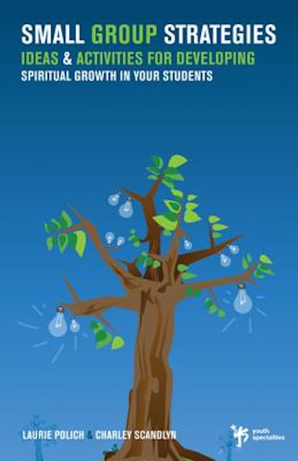 Cover image for A Small Group Strategies, isbn: 9780310258018