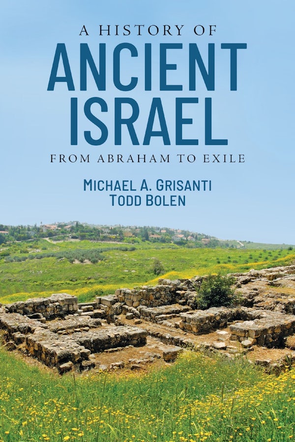 Cover image for A History of Ancient Israel, isbn: 9780310259077