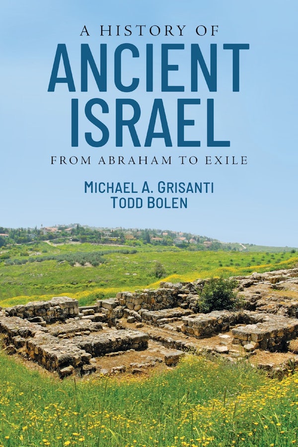 Cover image for A History of Ancient Israel, isbn: 9780310259077