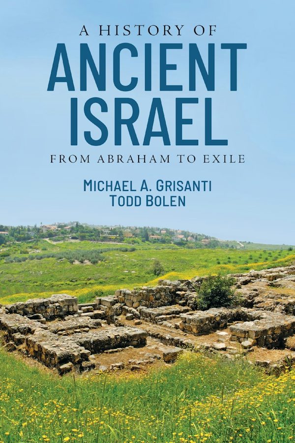 Cover image for A History of Ancient Israel, isbn: 9780310259077