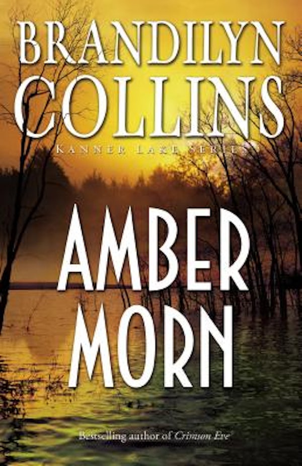 Cover image for Amber Morn, isbn: 9780310276418