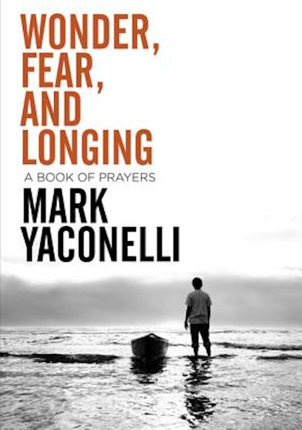 Cover image for Wonder, Fear, and Longing, isbn: 9780310283607
