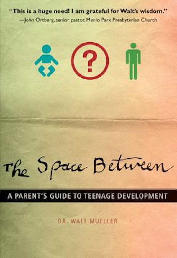 Cover image for The Space Between, isbn: 9780310287711