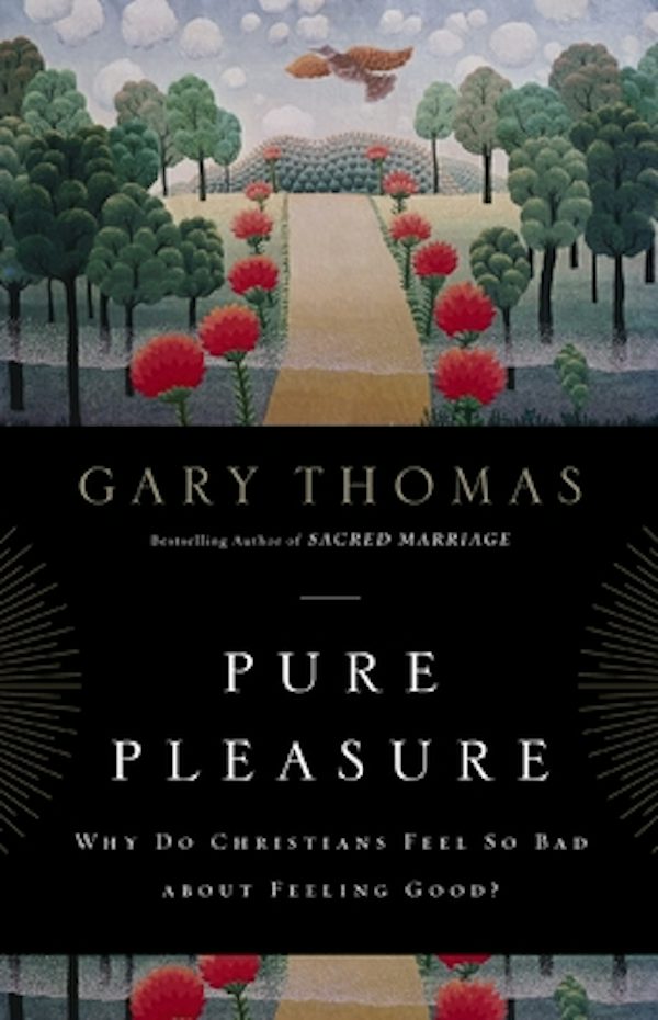 Cover image for The Pure Pleasure, isbn: 9780310290803