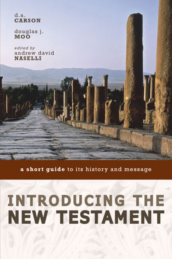 Cover image for Introducing the New Testament, isbn: 9780310291497