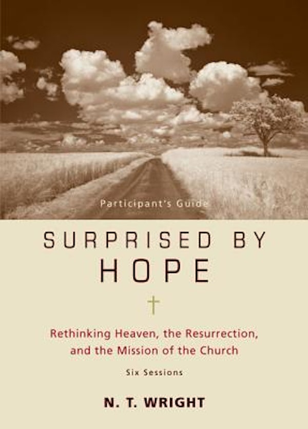 Cover image for Surprised by Hope Bible Study Participant's Guide, isbn: 9780310324706