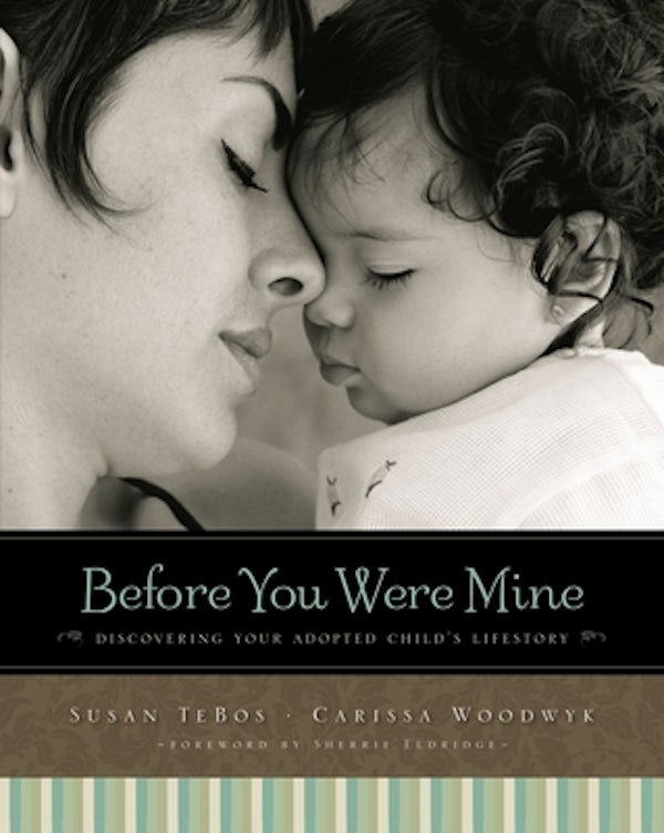 Cover image for The Before You Were Mine, isbn: 9780310331032