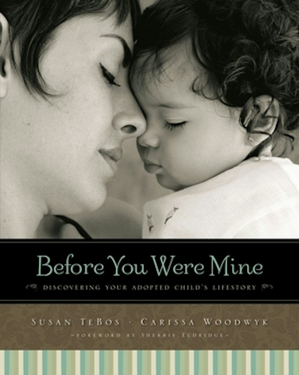 Cover image for The Before You Were Mine, isbn: 9780310331032