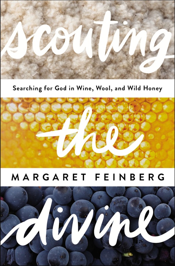 Cover image for Scouting the Divine, isbn: 9780310331544