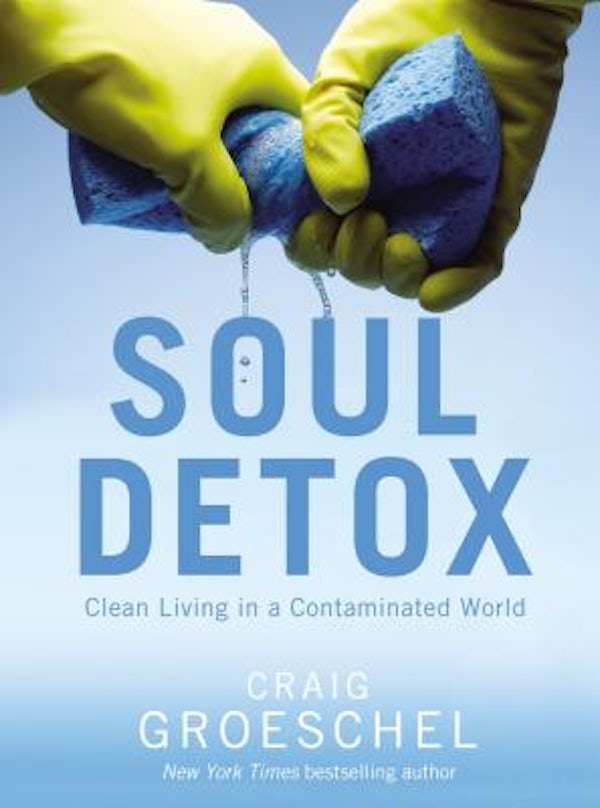 Cover image for Soul Detox, isbn: 9780310333821