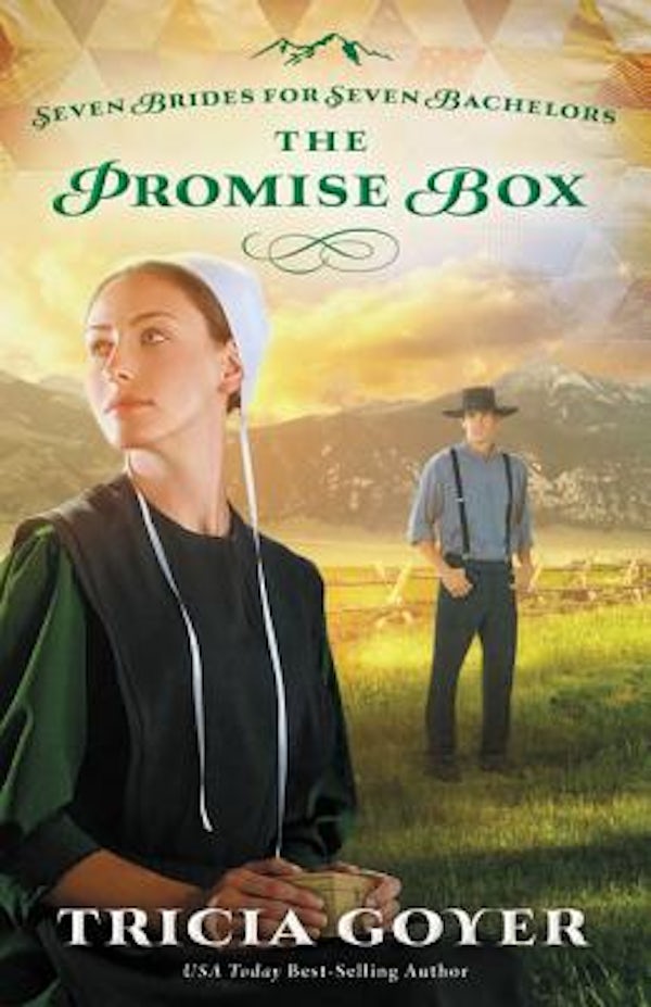 Cover image for The Promise Box, isbn: 9780310335122