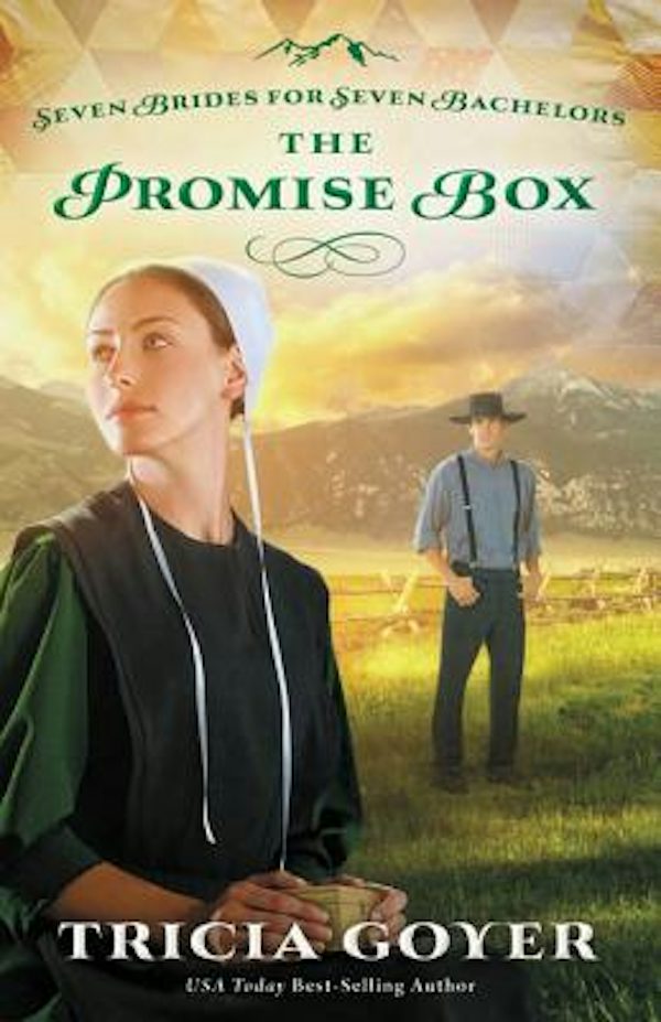 Cover image for The Promise Box, isbn: 9780310335122