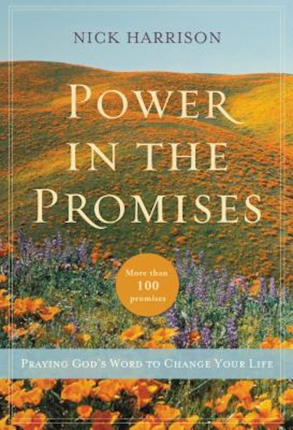 Cover image for The Power in the Promises, isbn: 9780310337218