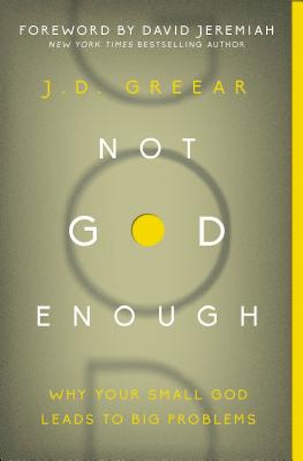 Cover image for Not God Enough, isbn: 9780310337775