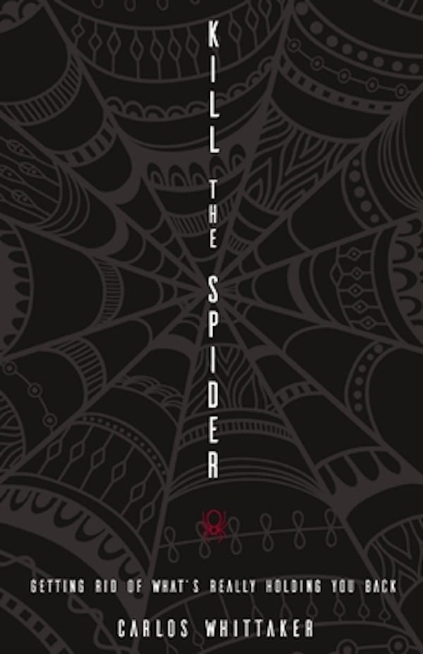 Cover image for Kill the Spider, isbn: 9780310338000