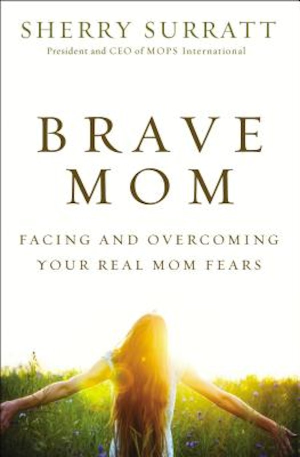 Cover image for The Brave Mom, isbn: 9780310340379